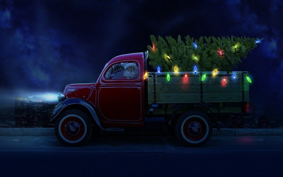 Reflections and Christmas Greetings from the Parksafe team as we end the year . . .